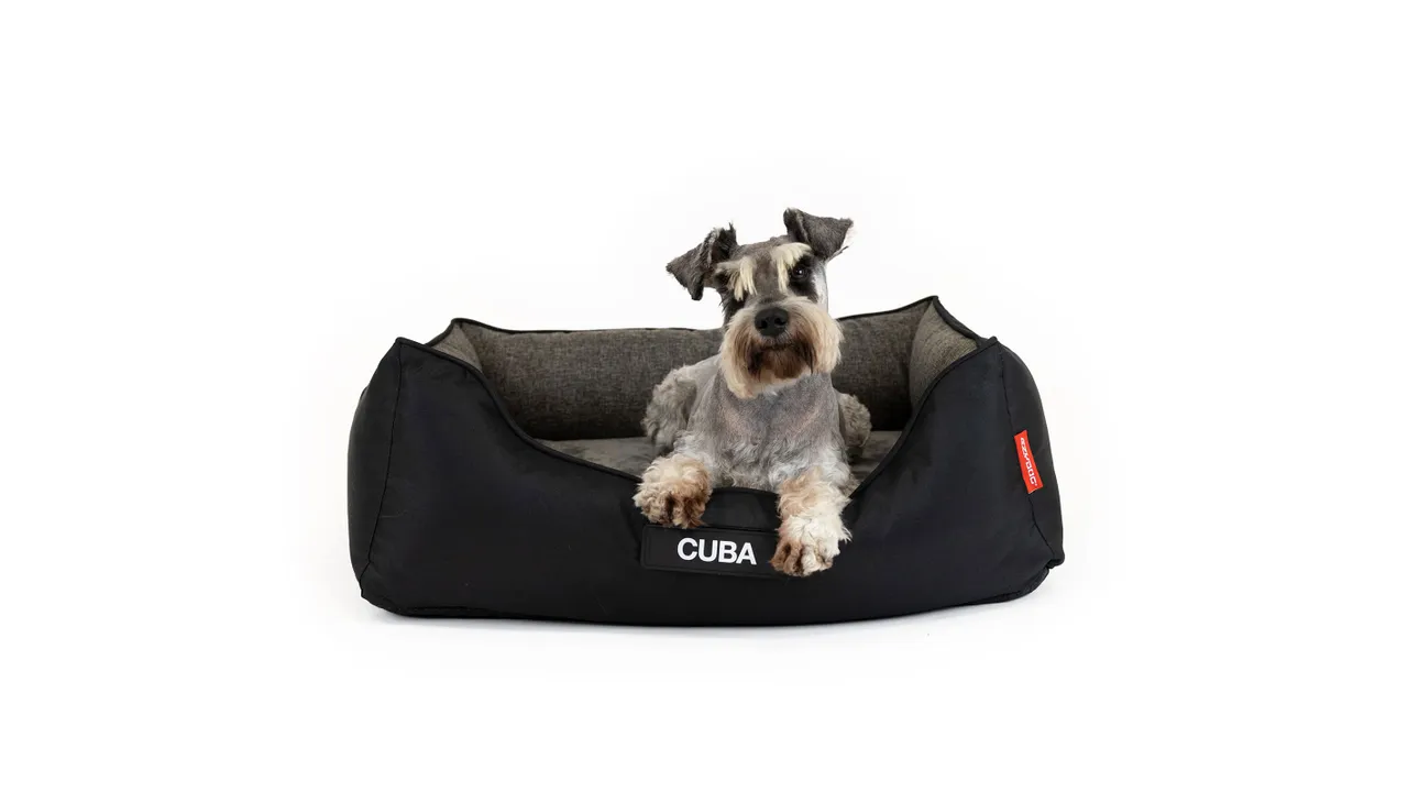 EzyDog 2in1 Ortho Smart Bed Charcoal/Black