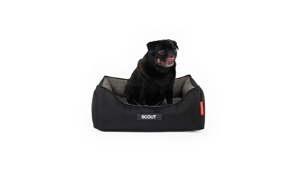 EzyDog 2in1 Ortho Smart Bed Charcoal/Black