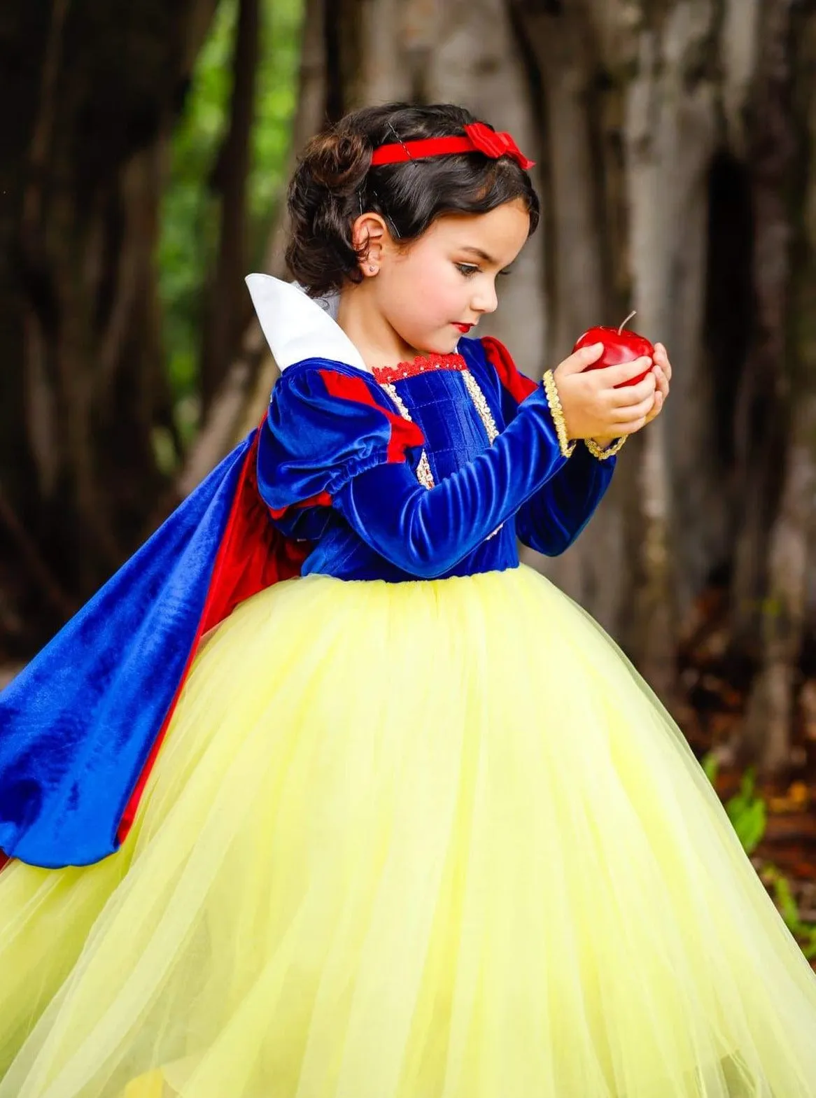 Girls Snow White Inspired Velvet Deluxe Costume