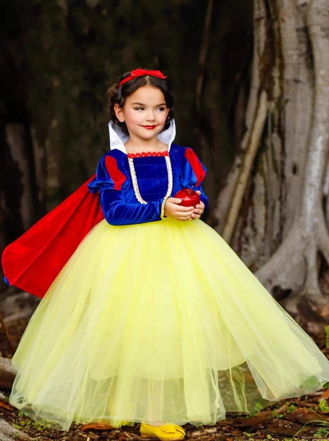 Girls Snow White Inspired Velvet Deluxe Costume