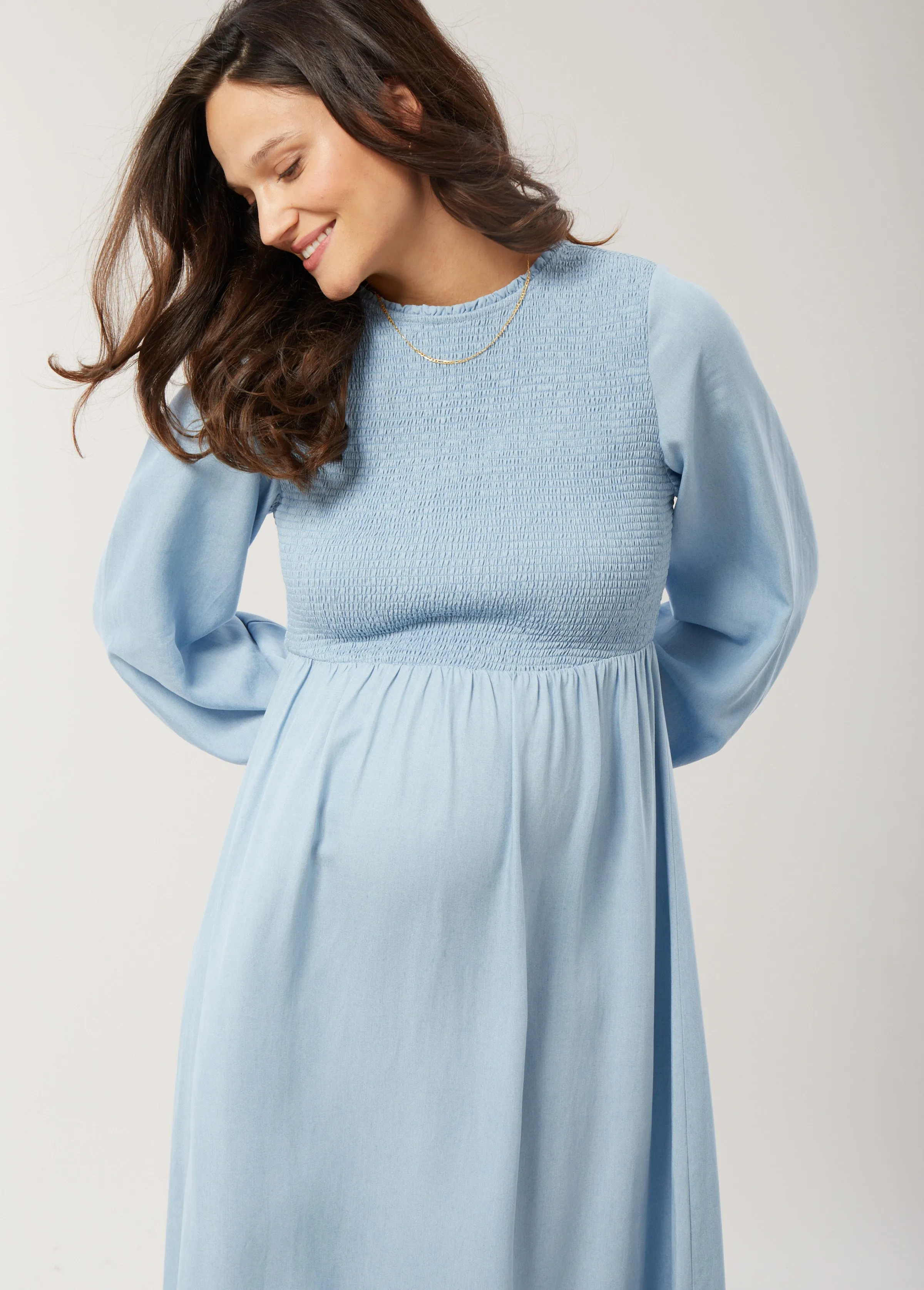 Meadow Chambray Maternity Dress