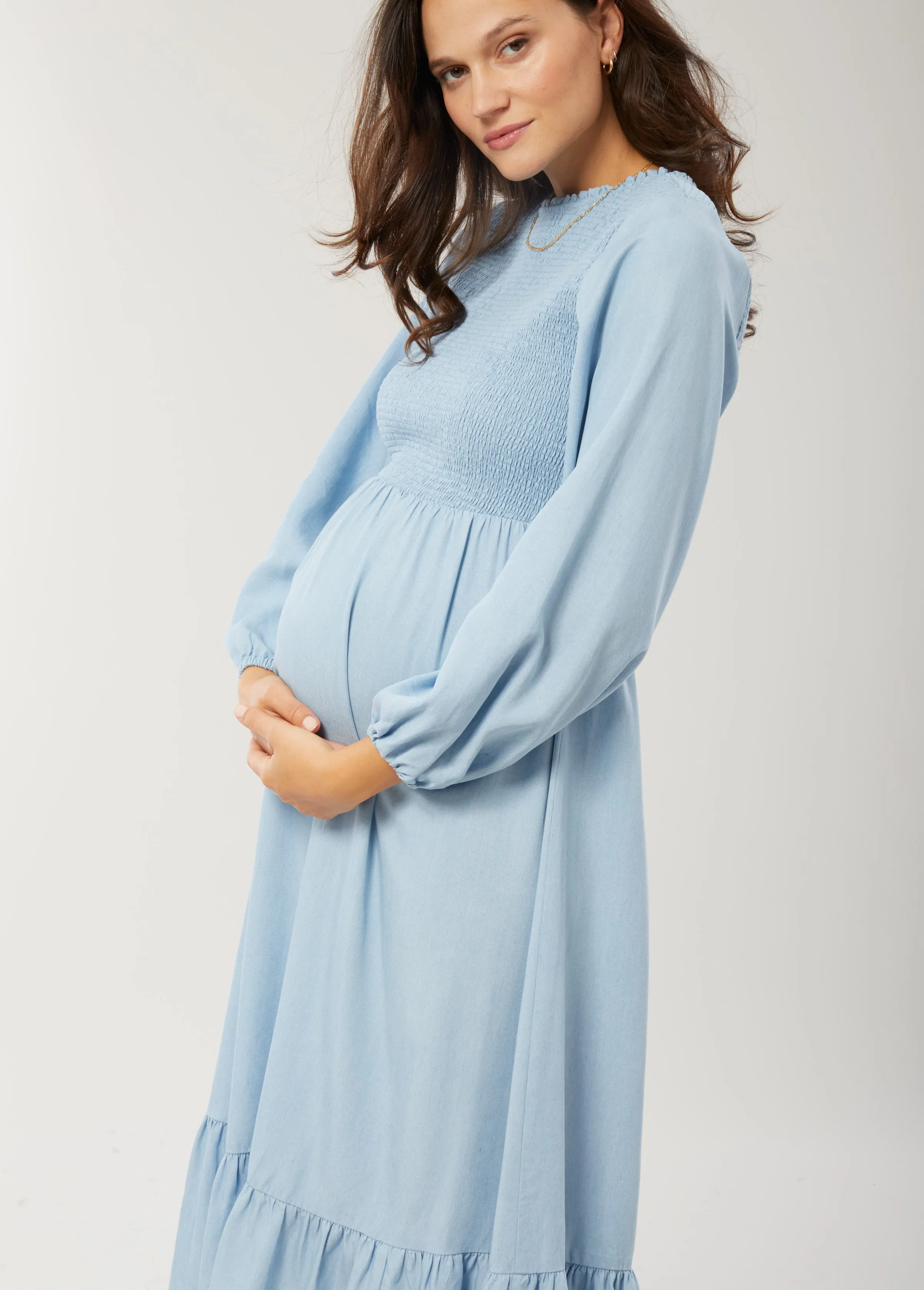 Meadow Chambray Maternity Dress