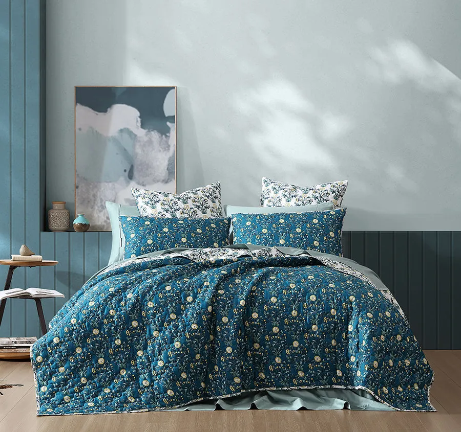 Serendipity Coverlet Set Teal